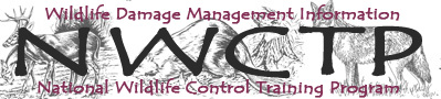 NWCTP_logo
