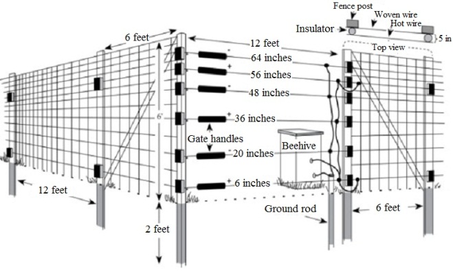 Figure 7. Woven-wire permanent fence. Image by PCWD.