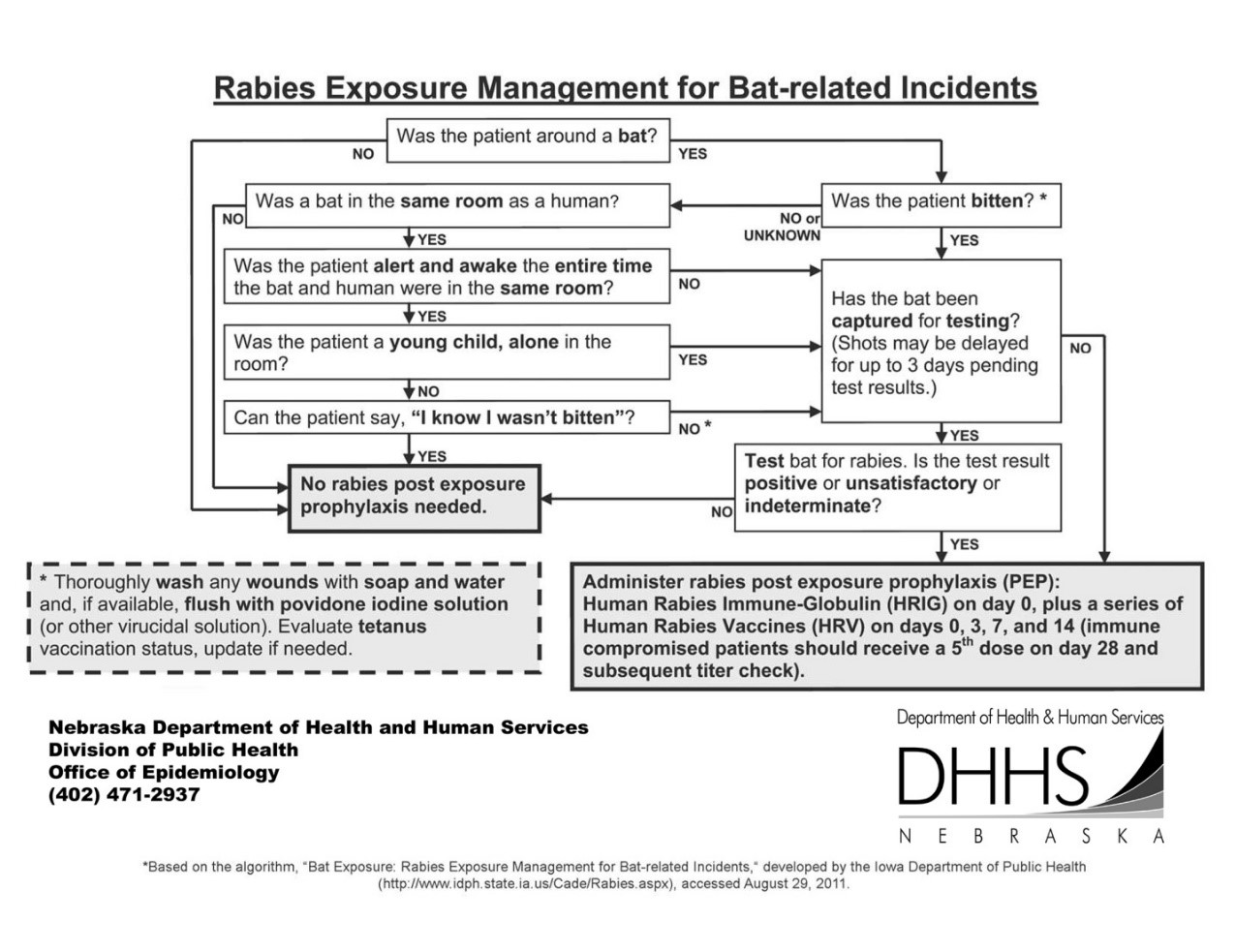 Case Studies Illustrating the Complex Dynamics of WDM NWCTP
